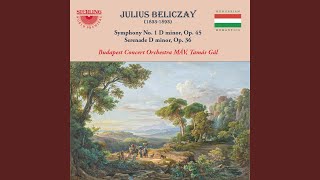 Serenade in D Minor, Op. 36: I. Moderato ma non troppo