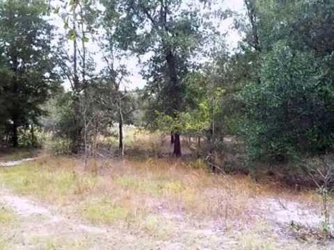 156 Chandler Dr, Neeses, SC home video tour