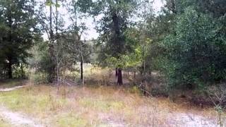 156 Chandler Dr video tour