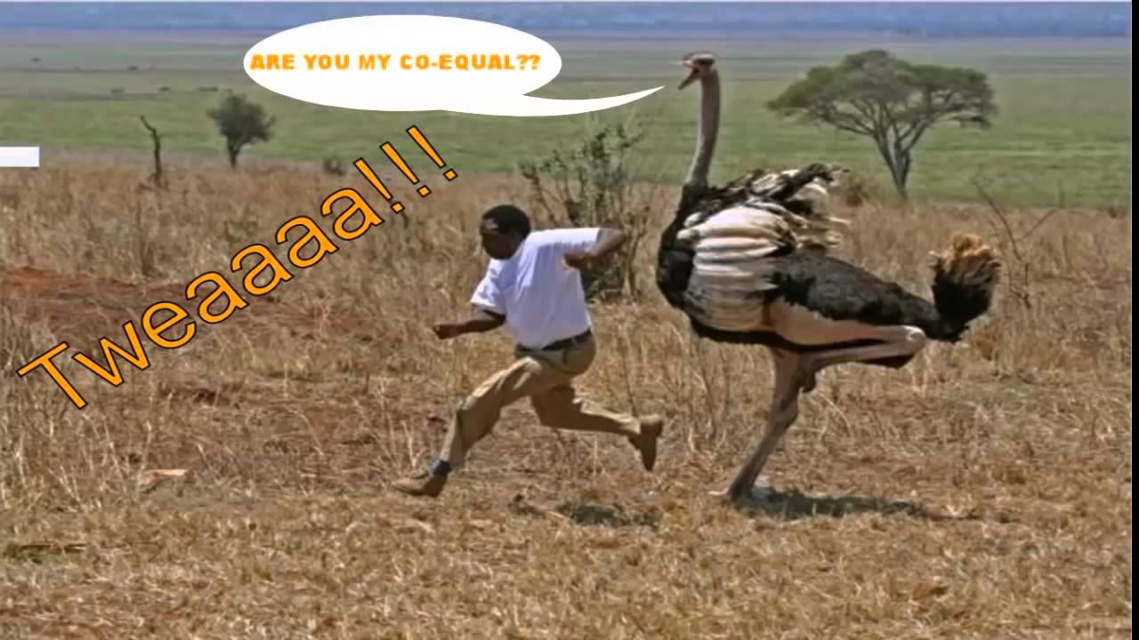 Strongman Burner - Who Said Tweea (Explicit Best Tweaa Song)