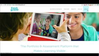 Options for Assessment