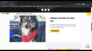 Poke Pet Shop Reviews [ With Proof Scam or Legit ? ] ! PokePetShop ! PokePetShop Com Reviews