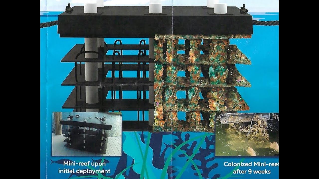 David Wolff Q A Interview