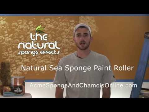 What is a Sea Sponge - Acme Sponge Company