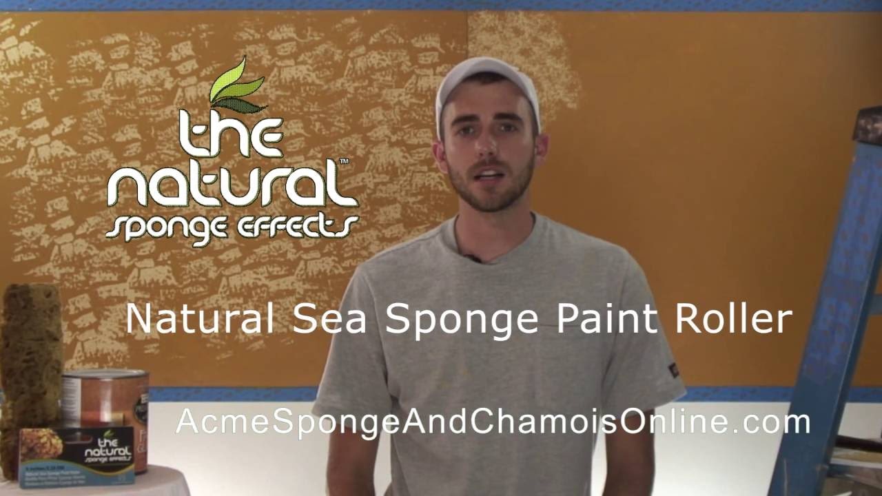 What is a Sea Sponge - Acme Sponge Company