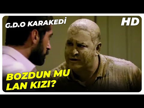 Kim Diyo Lan Birbiriniz İçin Yaratılmış Diye? - G.D.O Kara Kedi | Şafak Sezer Türk Filmi