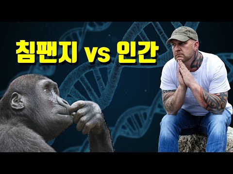 "침팬지 vs 인간" 누가 더 똑똑할까? 13문제에 도전해보세요!