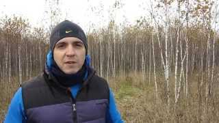 Диапазоны частоты сердечных сокращений или пульсовые зоны. Пять (5) пульсовых зон. Диапазоны частоты сердечных сокращений или пульсовые зоны. Пять (5) пульсовых зон.