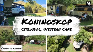 Koningskop Campsite, Citrusdal, Western Cape| Campsite Review