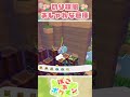 序盤◎自宅設定◎なおしゃれ倉庫#ぽこあポケモン #ぽこあ #pokopia