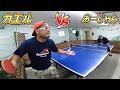 カエルvsおーしゃん 男の10番勝負【第1戦】卓球対決！ まさかの必殺技炸裂！？