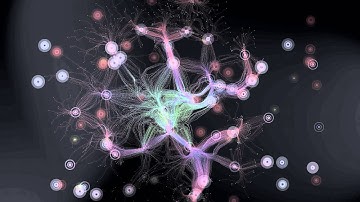 The Nocturnal Light Attractors in processing code