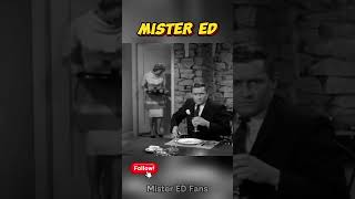 Mister ED S01E01 #MisterED #ClassicTV #TalkingHorse #NostalgiaTV #TVShowMemories #fyp #viral