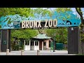 Walking Around the Bronx Zoo || Tour 2021 # Bronx, New York|| Roaming USA Family