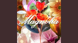 Download Lagu Magnolia MP3