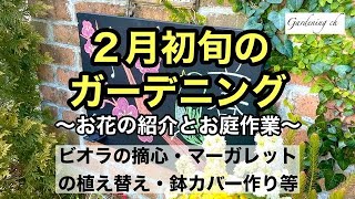 【ガーデニングとDIYを楽しもう！】お花のお手入れ・オリジナル鉢カバー作り・種まき・お花のご紹介等・・・２月初旬のお庭作業をまとめた動画です。