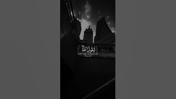 #سورة_الزخرف #شاشه_سوداء #القارئ رزكار الكردي  💙🍃
