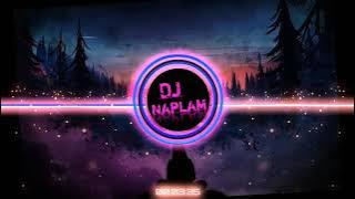 DJ VIRAL TIKTOK MINEFIELDS ( DJ DESA Remix )