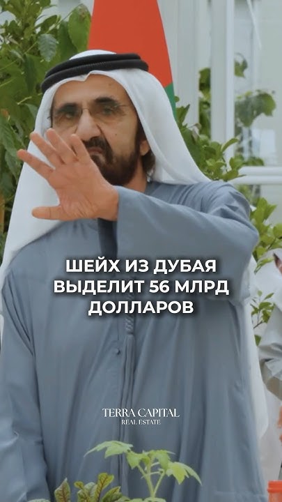 Шейх из Дубая выделит 56 млрд долларов #дубай #оаэ #terracapital # ...