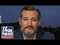 Ted Cruz warns if Dems win they have the votes to make this 'radical' change