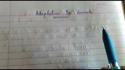 Class IV Science Lesson 3 Adaptation in animals(part 1)