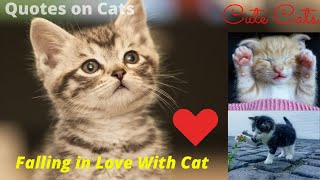 A Video For Cat Lovers | Top 20 Quotes on Cats | Inspiring Video | Copyright Free Music screenshot 5