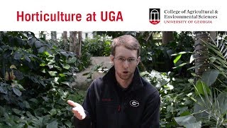 What is the UGA Horticulture Program