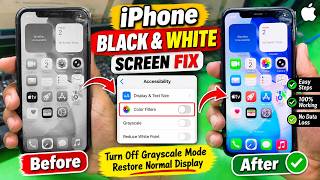 iPhone Black & White Screen Fix ! How to Turn Off Grayscale Mode on iPhone 11/11 Pro