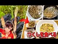 実は食べられる!『つくし』を採って料理しよう!!【全3品】