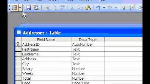 Microsoft Office Access 2003 Date and Time data types