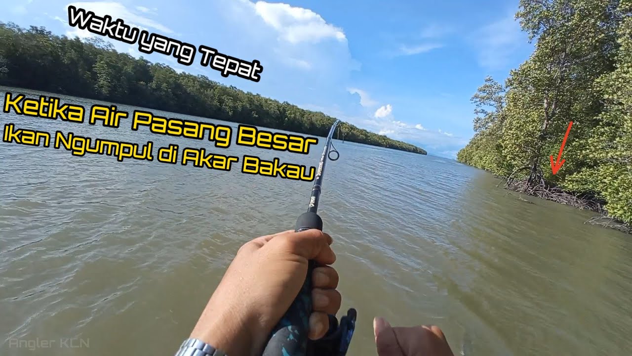 Waktu yang Tepat | Mancing Ketika Air Pasang Besar