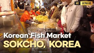 [4K KOREA] Korean fish market (Sokcho Market) food market