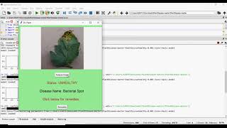 Plant Disease Detection GUI in Python