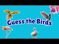 Guess the Bird | 20 Bird Names Quiz for Kids | First Words