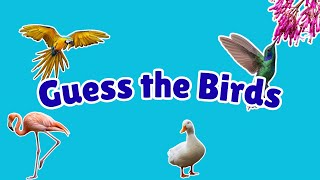 Guess the Bird | 20 Bird Names Quiz for Kids | First Words