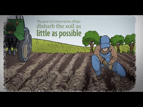 Video: Cultivation is the main method of tillage in agriculture