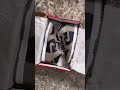 Unboxing the Nike Dunk High “Moon Fossil” #shorts