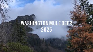 WA Mule Deer Hunt 2025