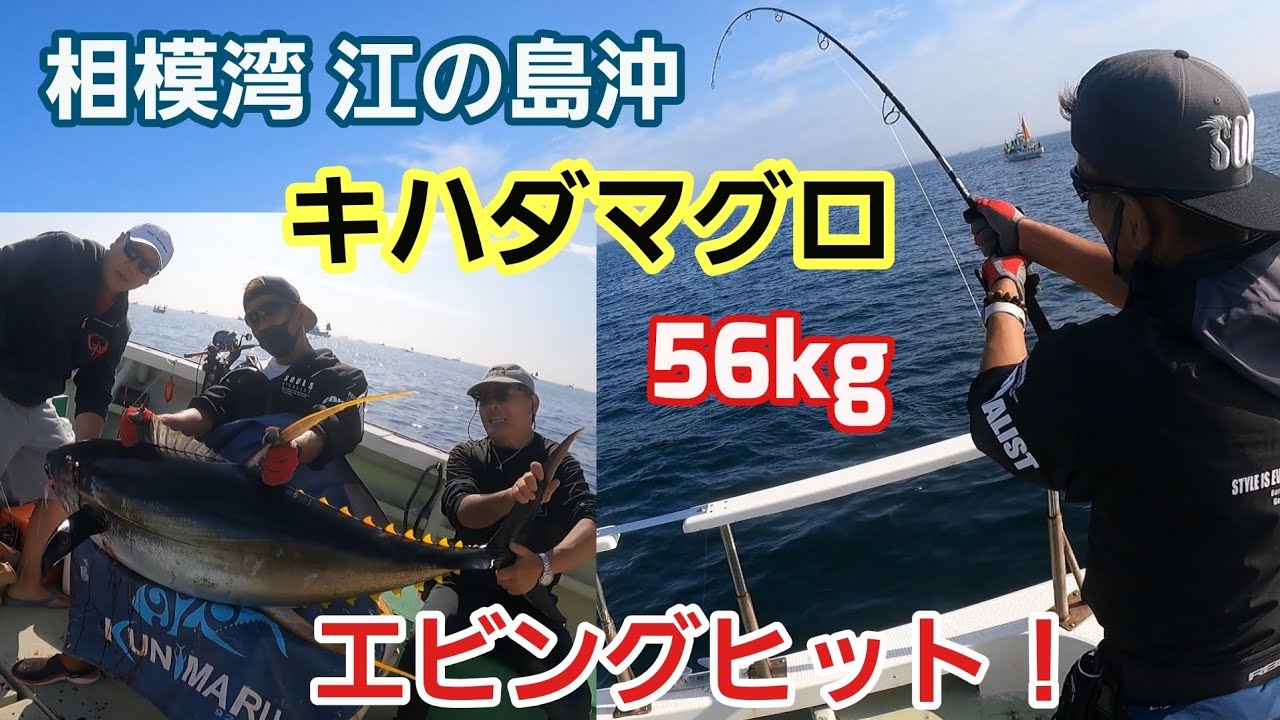 相模湾キハダマグロ】江の島沖 エビングで56kgヒット！2025年 - YouTube