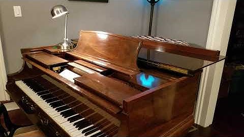 Stravinsky - Concerto, First Movement, Largo