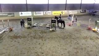 Montoni.essen E.minora Veskimetsas 75Cm, 5.Koht, 12.Märts 2016