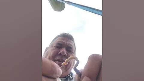 Old Bastard Who Just Discovered Fishing