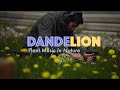Plant music in nature  dandelion
