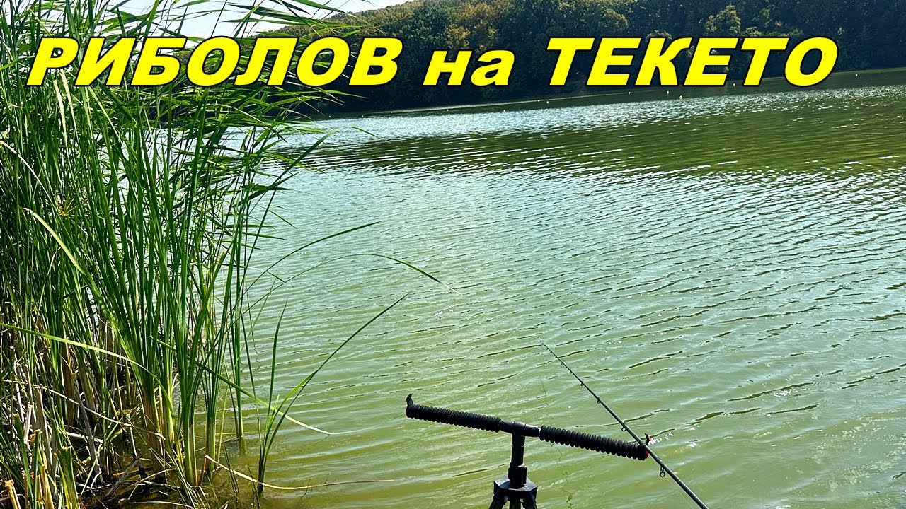 КАРАКУДИ на МЕТОД ФИДЕР от ДИВОТО ЕЗЕРО в с.Николово - Удари и БОНУС ШАРАН Това е Рай за РИБОЛОВЕЦА