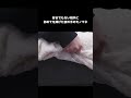 好きでもない相手に初めてを捧げた夜の手のモノマネ #自暴自棄 #あるある #モノマネ #ネタ