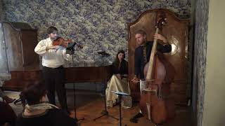 Sebastian Brettfeld - Jan Křtitel Vaňhal - Concerto for Violone, Double Bass (Viennese Tuning)