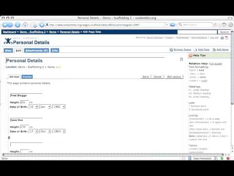 Scaffolding 2 - Dynamic repeating section data