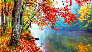 "Asepen Autumn Perch" Peaceful Autumn Mountains with Soothing Music by Tim Janis screenshot 1