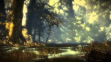 The Witcher 2: Kayran Ownage