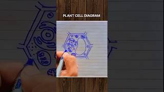 plant cell diagram🤘🏻#shorts #shortsfeed #shortsviral #shortsyoutube #shortsvideo #shortsbeta #exam